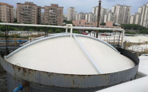 广州味精厂反吊氟碳纤维膜